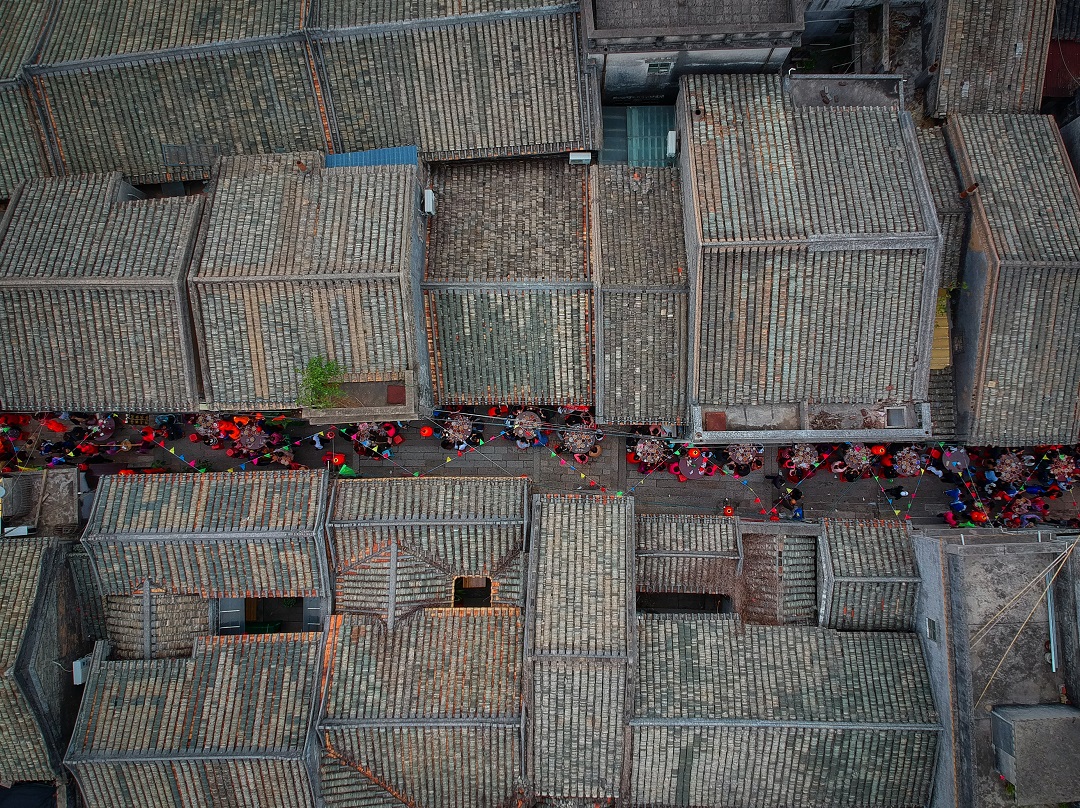 8204490.jpg
